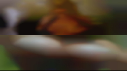 adult personals girls wanting sex Georgia free