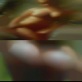 Adult swingers nudism