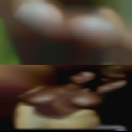 Local adult swingers