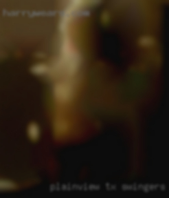Plainview TX swingers groups