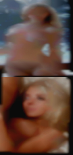 pussy in Massachusetts