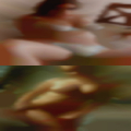 sex partners NY 13669